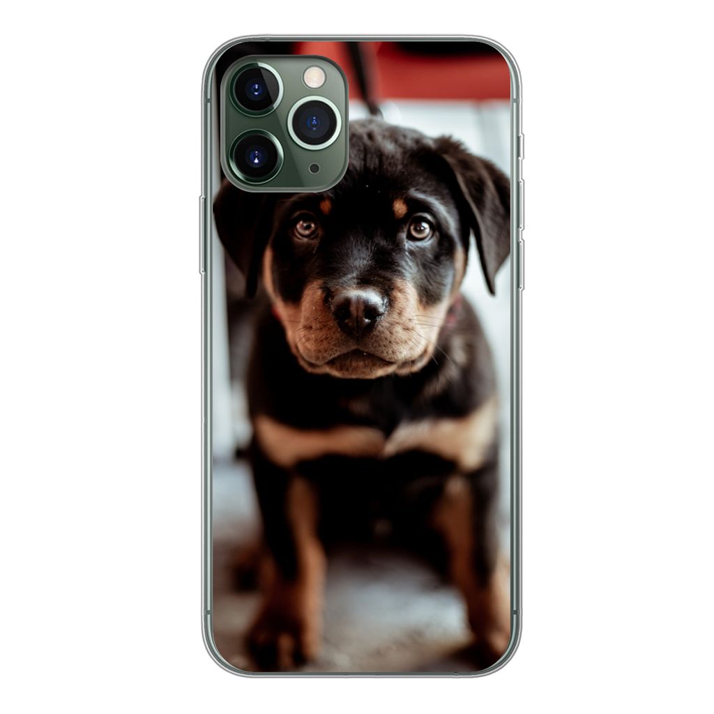 MuchoWow Handyhülle Schutzhülle Hülle für iPhone 11 Pro Jung - Hund - Kamera Silikon Softcase Handy Hülle - Handy