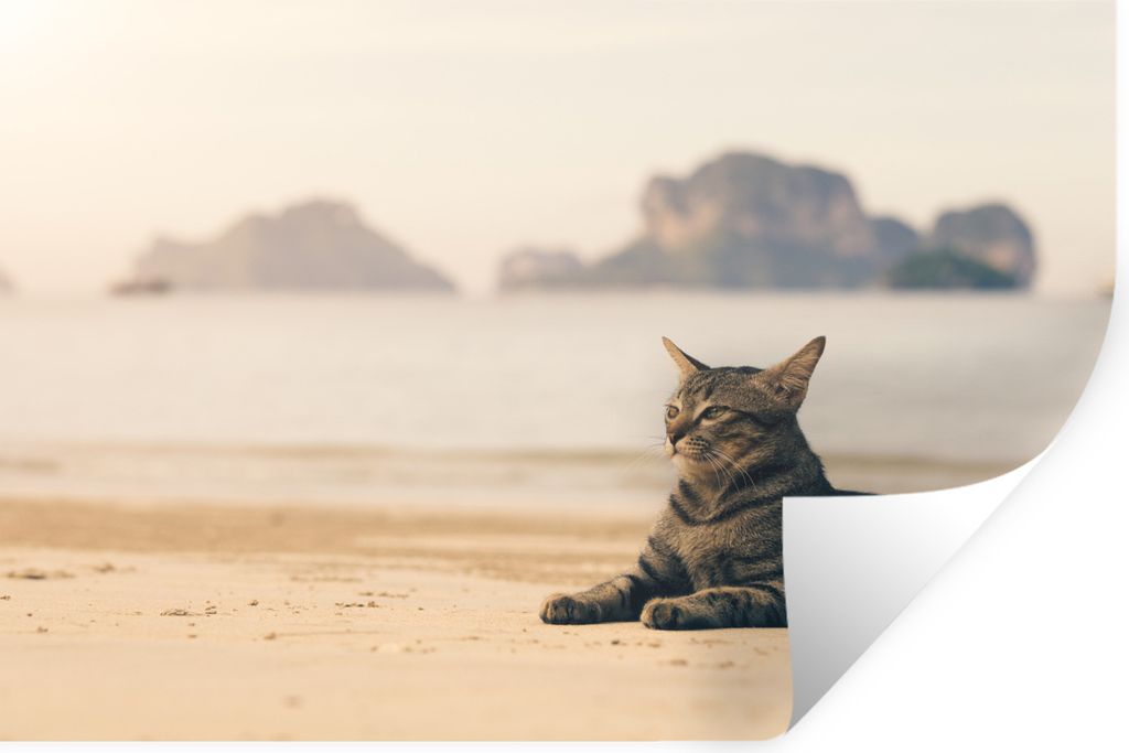 MuchoWow - Wierderverwendbar - Selbstklebend