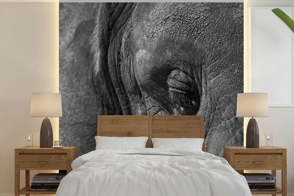 MuchoWow Fototapete für Wohnzimmer oder Schlafzimmer Wandtapete Vinyl Motivtapete Schwarz-weiße Nahaufnahme eines Elefanten - 220x220 cm - Tapeten