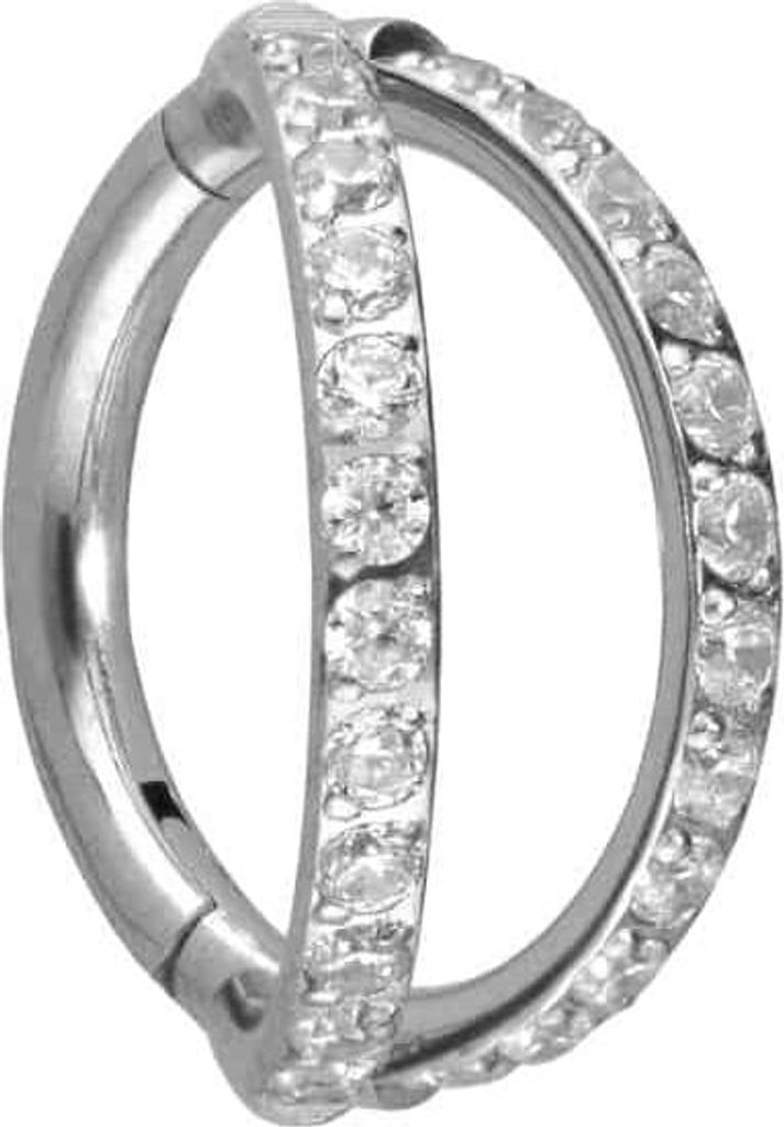 Ohrpiercing, Nasenpiercing, Septum Piercing Titan Segmentring Clicker 2 RINGE + EINGEFASSTE KRISTALLE Silber Innendurchmesser: 8 mm