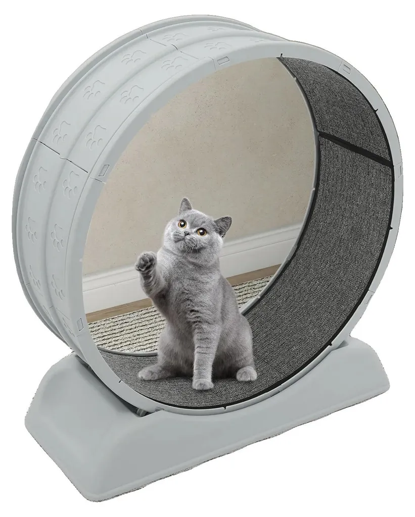 Tapis roulant pour chat avec roue silencieuse 80 cm - Charge de 10 kg
