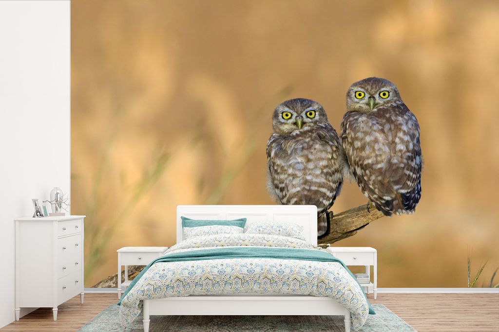 MuchoWow Fototapete für Wohnzimmer oder Schlafzimmer Wandtapete Vinyl Motivtapete Eulenpaar - 450x300 cm - Gemusterte