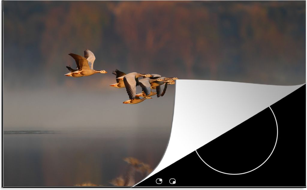 KitchenYeah Herdabdeckplatte Gänse - Luft - Wasser , 89x51cm, Küche Deko, Glaskeramikfeld Herdabdeckung, Abdeckplatte fùr Kochfeld