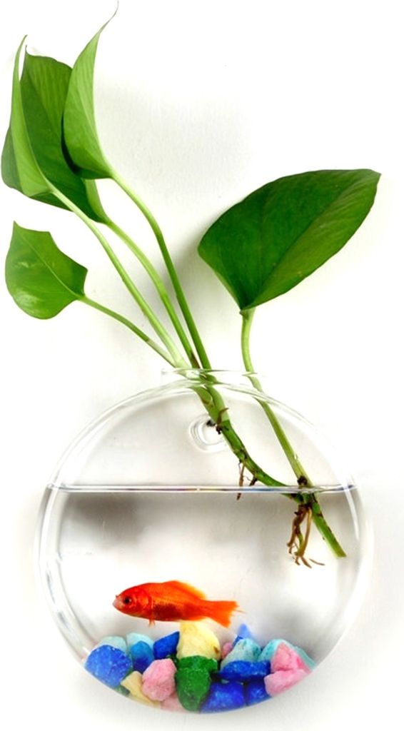 Hydroponische Vase Blume Wasser Tropfen Herz Form Transparente Wand Hanging Glasblume Vase Terrarium Wand Fischtank Aquarium Behälter Wohnkultur-C
