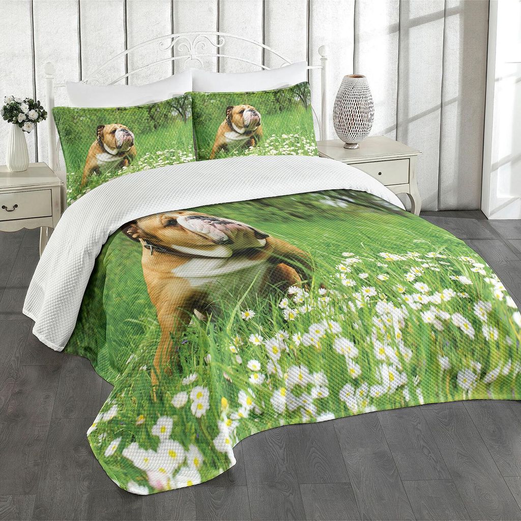 ABAKUHAUS Englische Bulldogge Tagesdecke Set, Park im Frühjahr mit blühenden Gänseblümchen und Bäumen und Bulldogge, 220 x 220 cm, Grün braun...