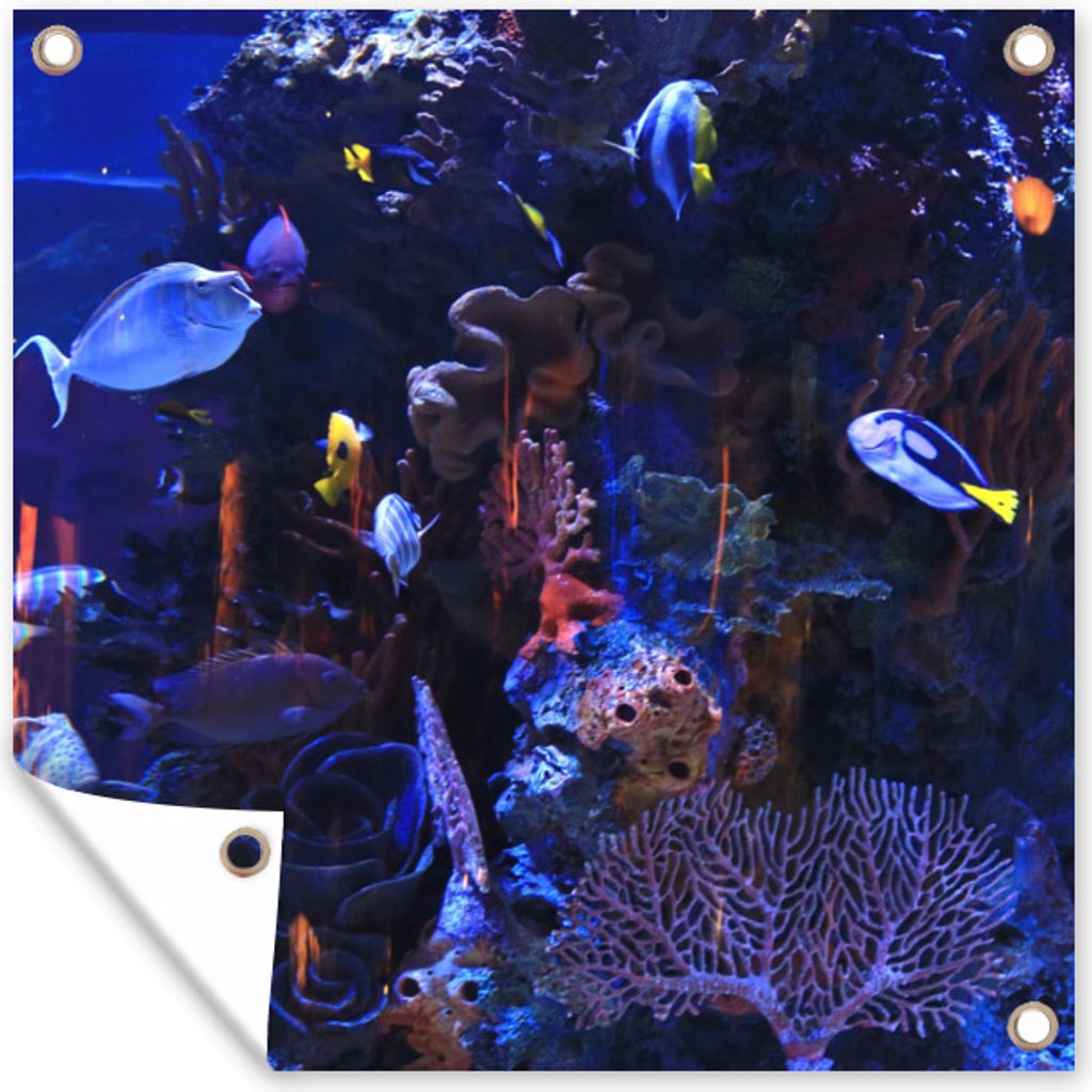 MuchoWow 50x50 cm Outdoor-Poster Gartendeko Sichtschutz Garten Poster für den Garten Tropisches Meerwasseraquarium