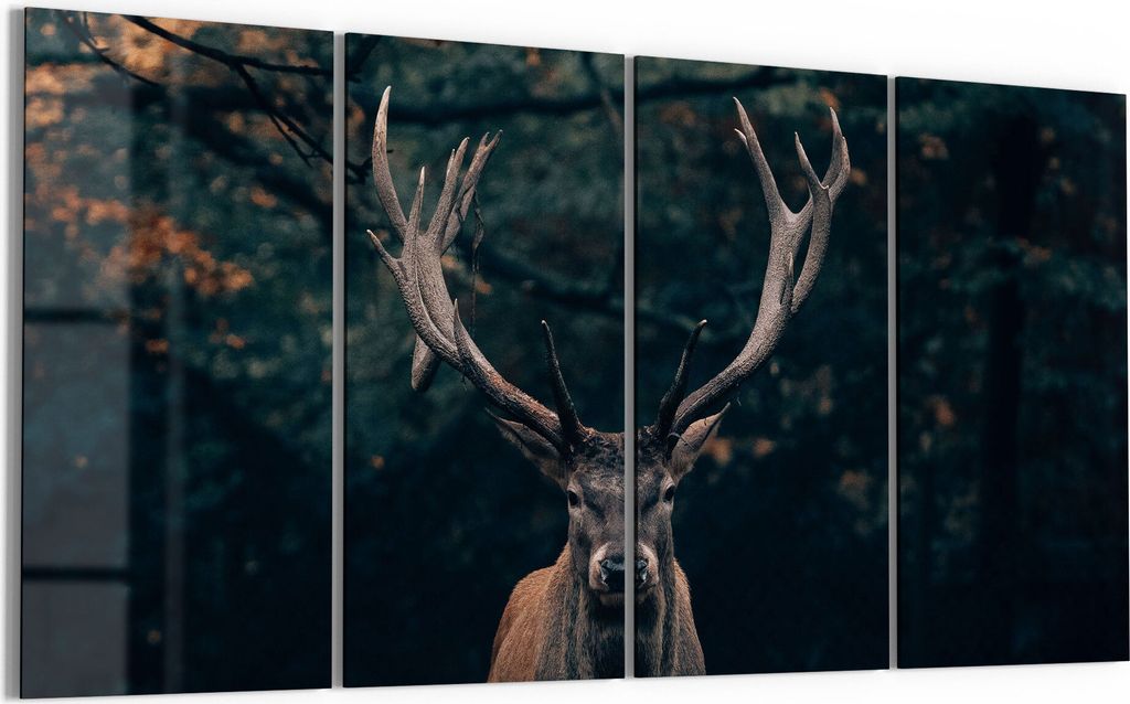 DEQORI Glasbild Echtglas 4x30x60 cm 'Elch im Teutoburger Wald' Wandbilder XXL groß