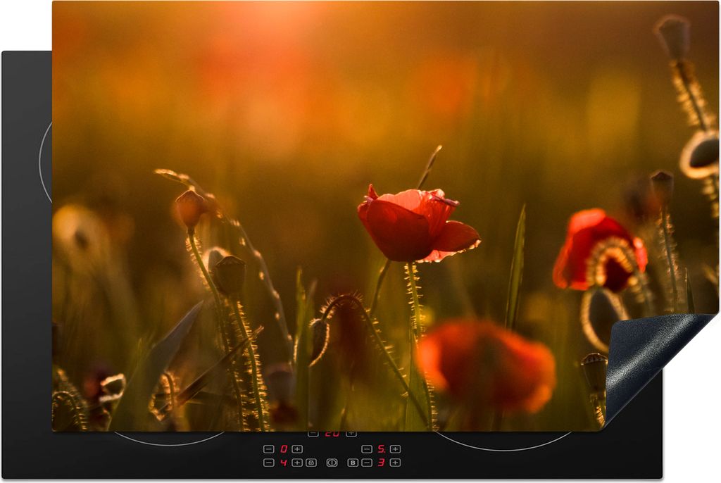 KitchenYeah Herdabdeckplatte Mohn - Sonnenuntergang - Gold , 81x52cm, Küche Deko, Glaskeramikfeld Herdabdeckung, Abdeckplatte fùr Kochfeld