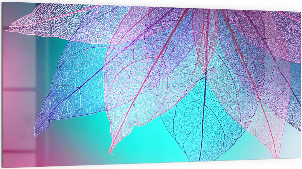 DEQORI Küchenrückwand Glas 100x50 cm 'Transparenter Blattfächer' Spritzschutz Bad Rückwand