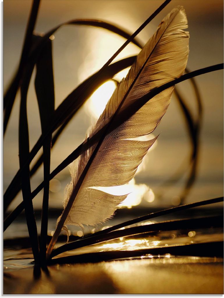 ARTland Glasbild Feder im Abendlicht Größe: 45x60 cm