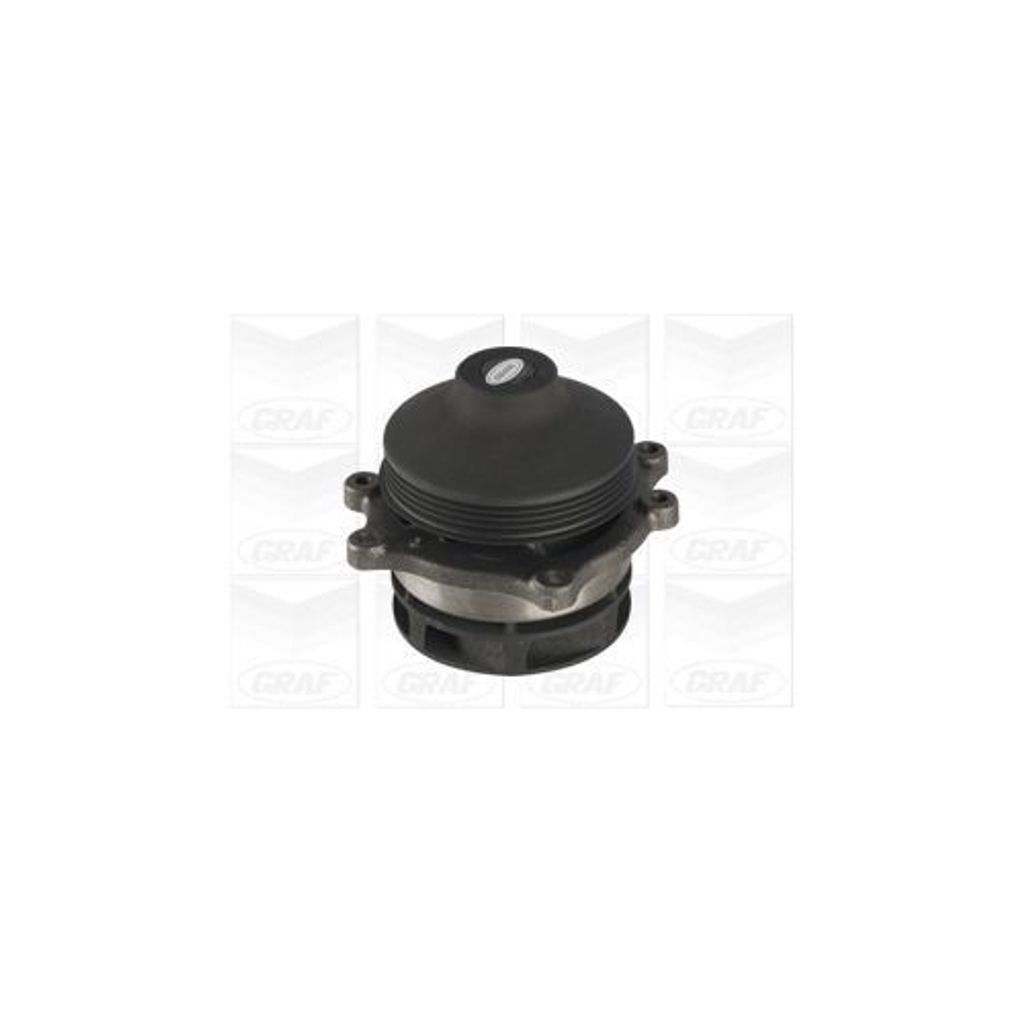 Wasserpumpe Graf PA1199 für Iveco