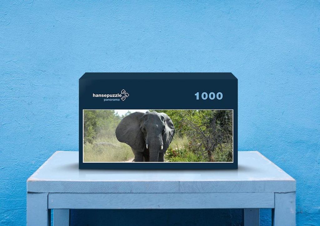 hansepuzzle 87095 - Elefant Puzzle, 1050 Teile, Tierwelt, 60,0 x 46,0cm mit hochwertiger Aufbewahrung, Kartonbox und wiederverschließbarem Beutel