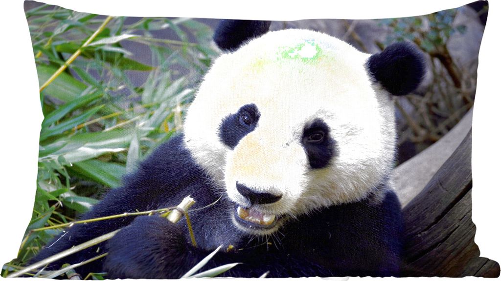 MuchoWow Zierkissen Sofakissen Wohnzimmer Dekokissen 50x30 cm Panda - Tier - Blätter - Wohnzimmerdekoration - Polster mit Photo
