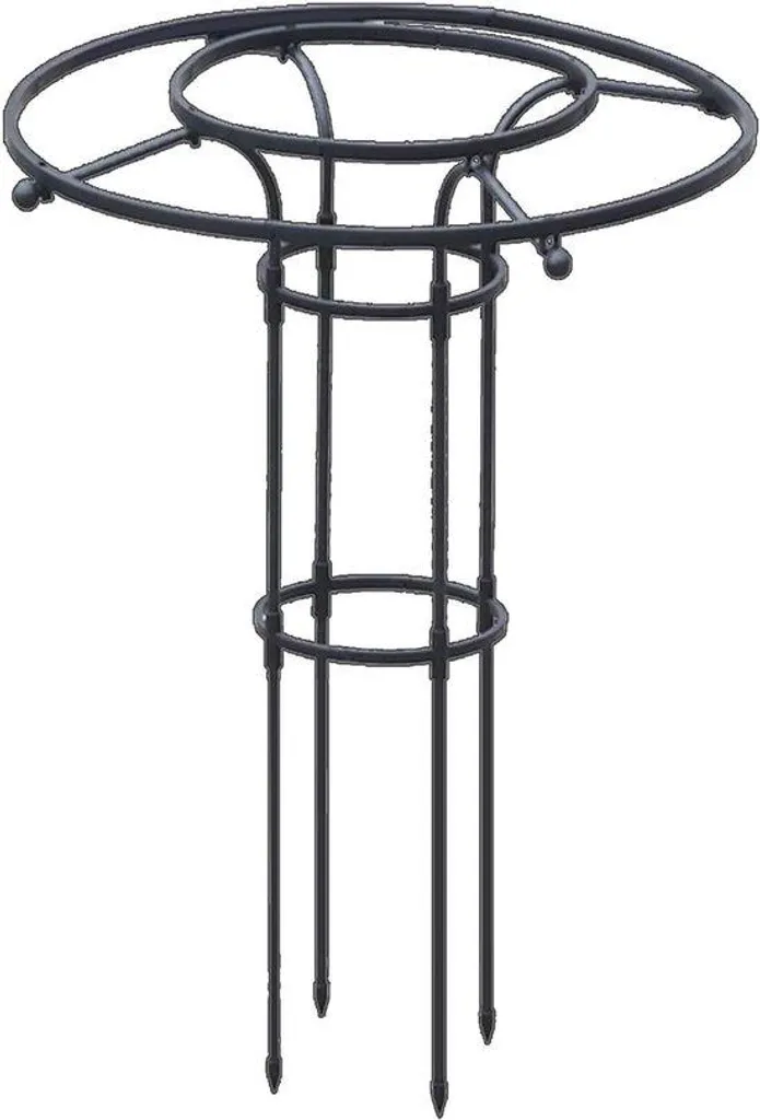 Treillis métallique pour jardin 210 cm - Créez un mur végétal magnifique