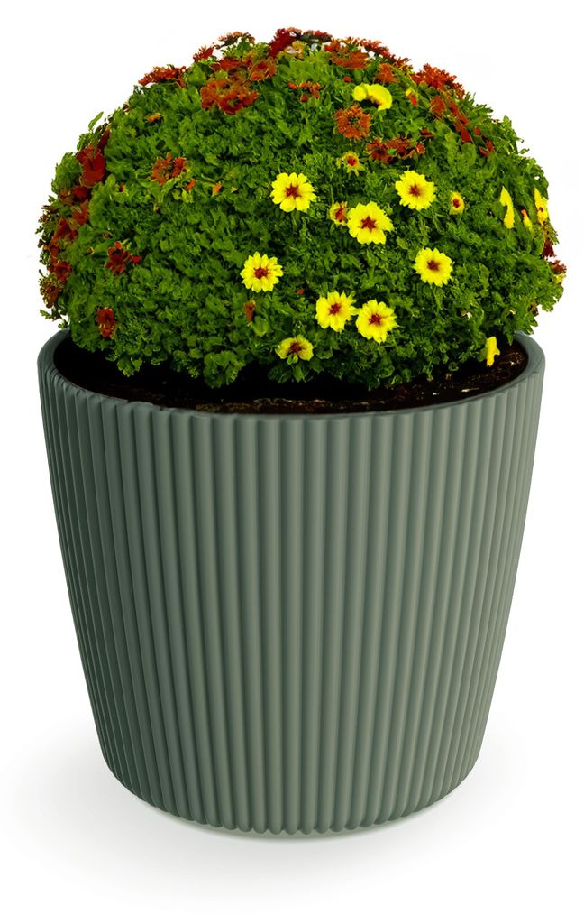 Prosperplast Pflanztopf Buckingham - tannengrun - D17 cm Produktbild 