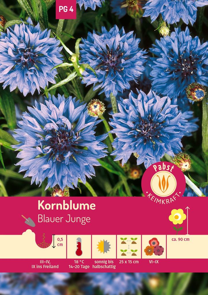 Artikelbild 1 von 'Kornblume Blauer Junge' aus der Kategorie Kornblumensamen