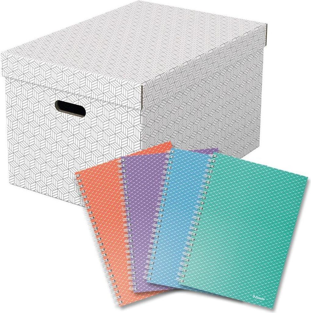 3 Esselte Home Aufbewahrungsboxen 50,0 l weiß 35,5 x 51,0 x 30,5 cm