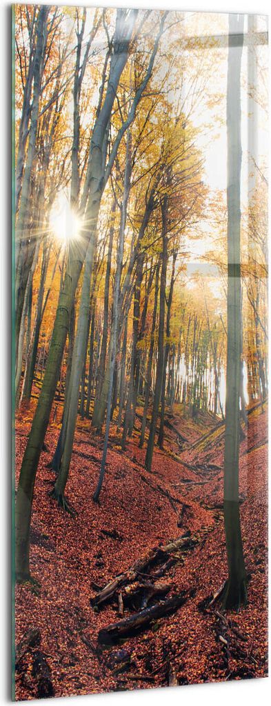 Designer Glasbild - Wandbild - Glas Bild - 50x125 cm - Sonnenuntergang Und Bäume