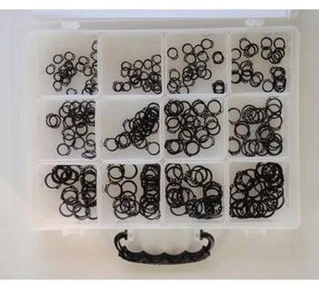 Mallette de rangement circlips Bofix 227595 avec 12 casiers fixes