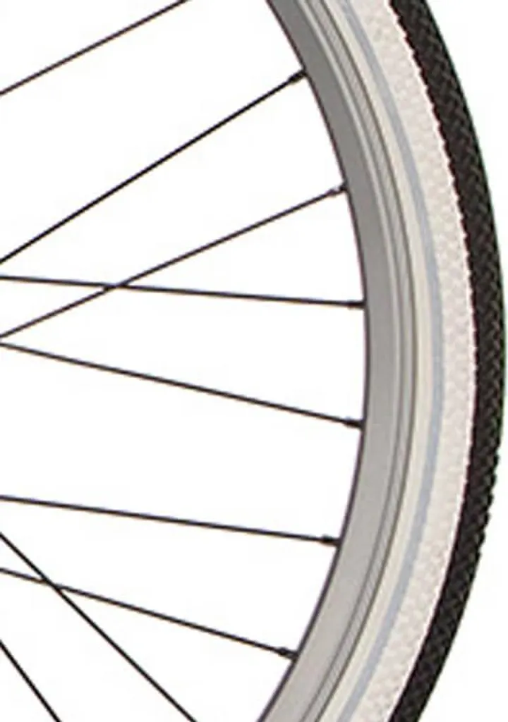 Jante de rechange Cortina J19SZ Matt Rock Ridge pour vélo hollandais