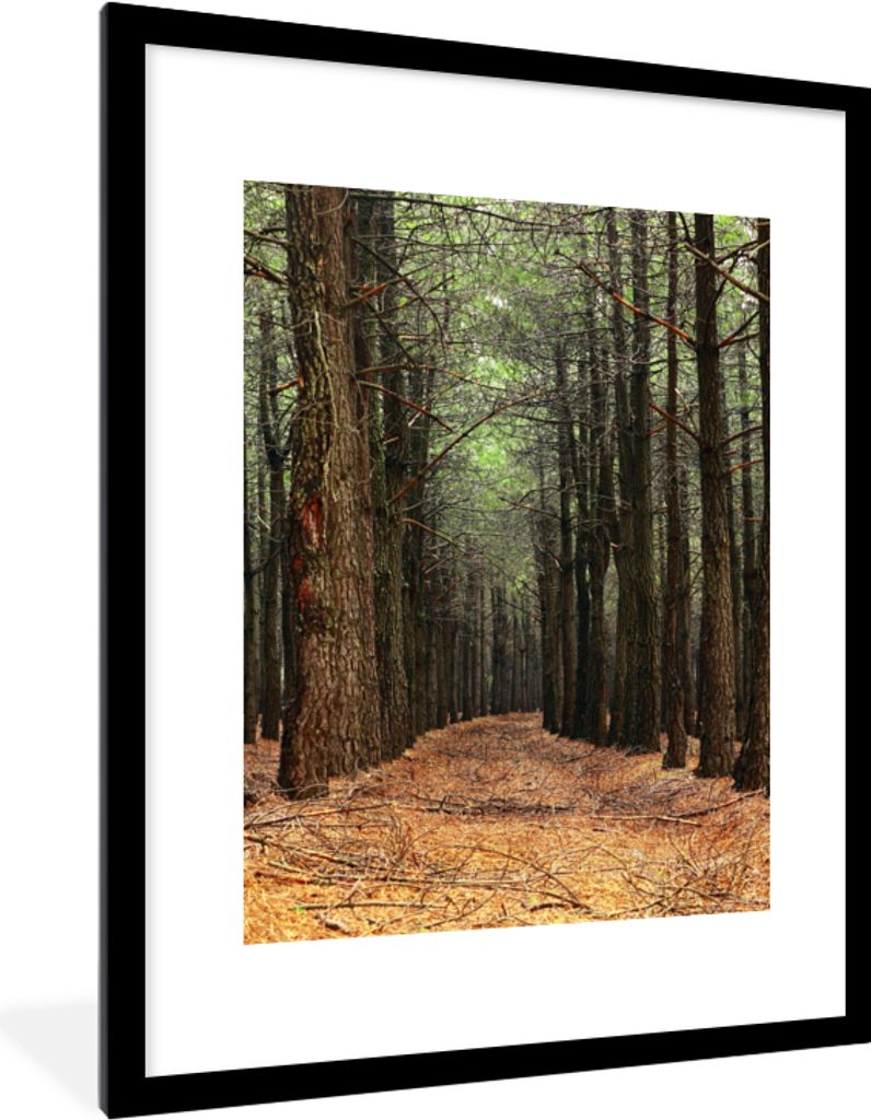 MuchoWow Gerahmtes Poster Herbst - Dekoration - Wald 60x80 cm - Poster mit Schwarzem Bilderrahmen Wandposter Rahmen Foto Bilder - Wohnzimmer - De...