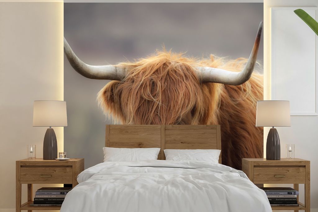 MuchoWow Fototapete für Wohnzimmer oder Schlafzimmer Wandtapete Vinyl Motivtapete Schottischer Highlander - Hörner - Haare - 280x280 cm - Hinte...