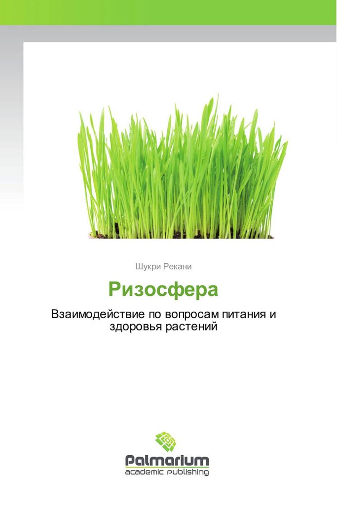 Rizosfera