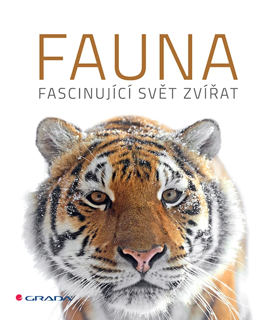 Fauna Jeu de Société Fascinant Monde des Animaux - Version Famille