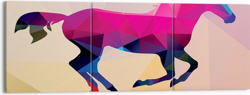 Bild auf Leinwand - Leinwandbild - Pferd Tiere Geometrie Produktbild 