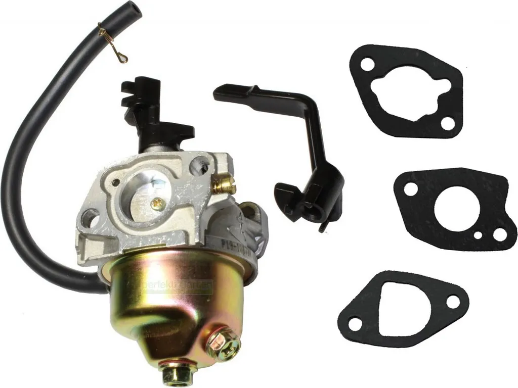 Carburatore Compatibile Einhell STE 2500/1 BT-PG 3250 | Alta Efficienza