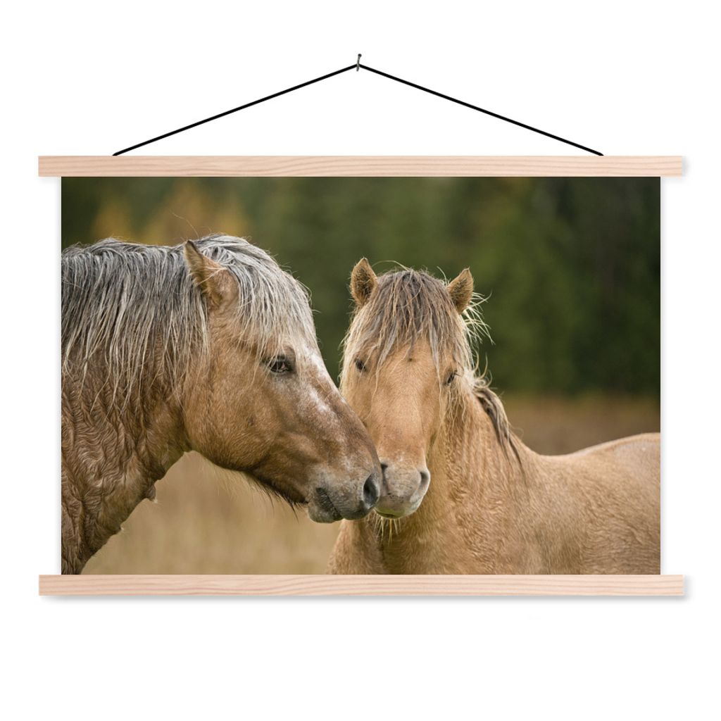 MuchoWow Textilposter Nahaufnahme von kuschelnden Fjordpferden 120x80 cm mit holzfarbenen Rahmen - Aufhängeset