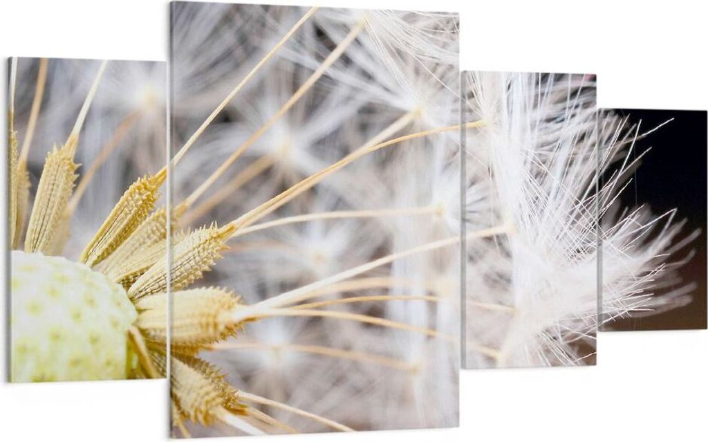 Bild auf Leinwand - Leinwandbild - Baby Sommer Pflanze - 160x90cm - Wand Bild - Wanddeko - Leinwanddruck - Bilder - Kunstdruck - Wanddekoration - L...