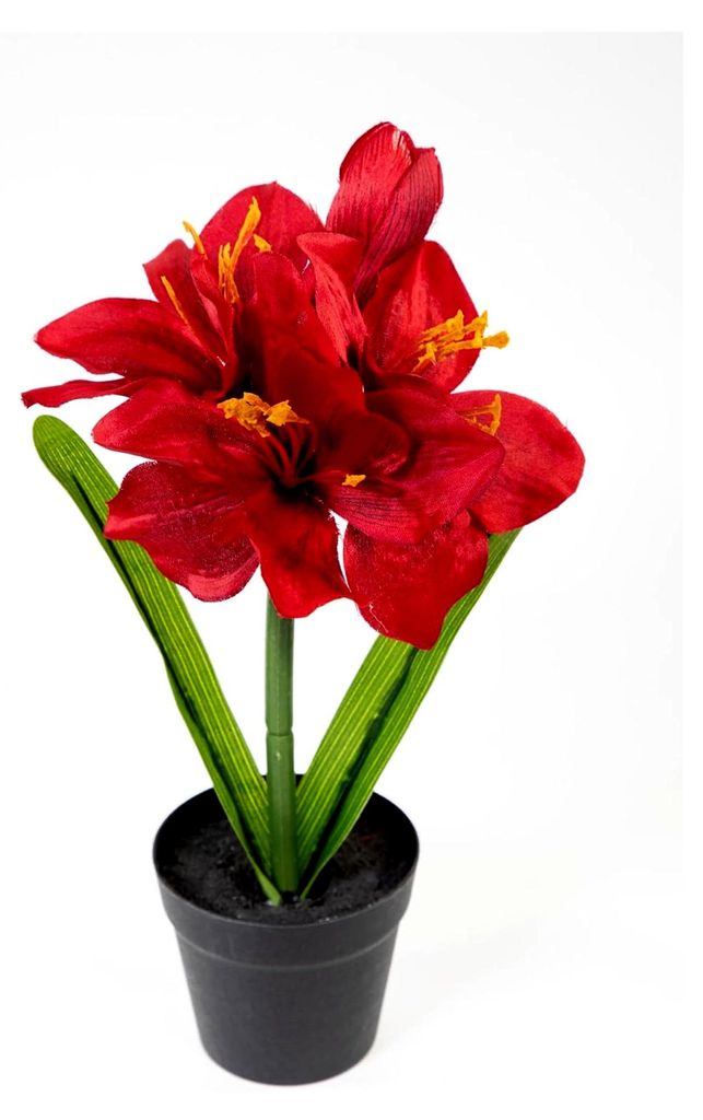 Amaryllis im Topf 32cm künstliche Blumen Pflanzen Kunstpflanzen Kunstblumen (Rot)