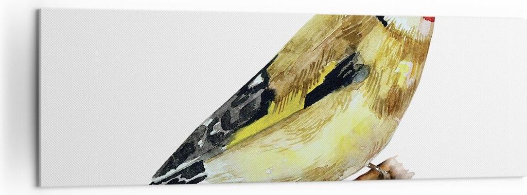 Bild auf Leinwand - Leinwandbild - Einteilig - Stieglitz Vogel Aquarell - 160x50cm - Wand Bild - Wanddeko - Wandbilder - Leinwanddruck - Bilder - W...