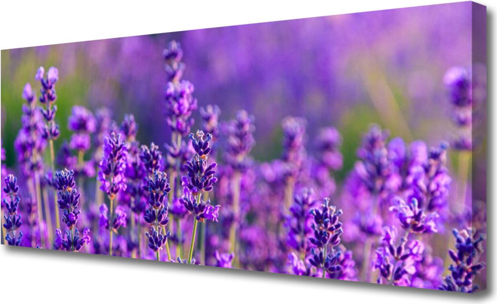Tulup Leinwand-Bilder 125x50 Wandbild Canvas Kunstdruck Blumen Pflanzen