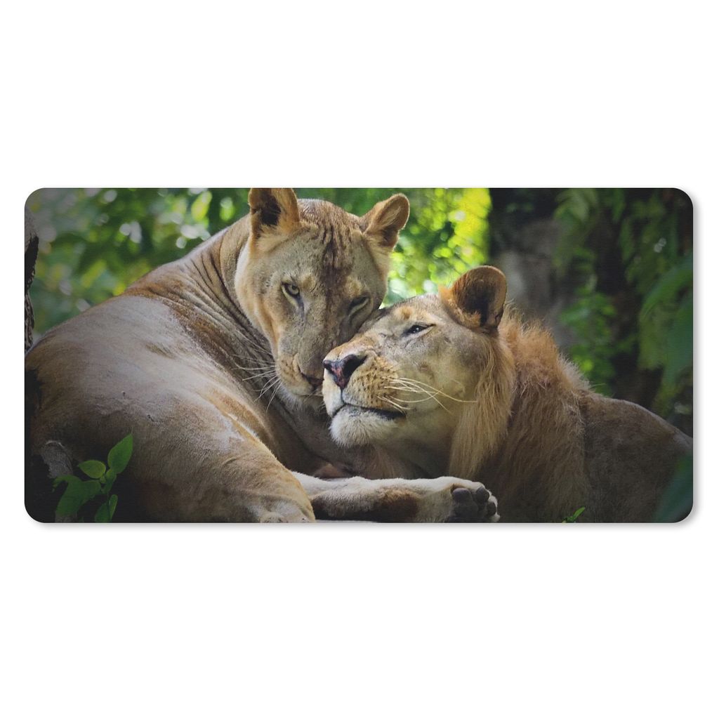 MuchoWow Schreibtischunterlage Löwen - Baum - Gras 80x40 cm - XXL Mauspad - Gaming Mauspad