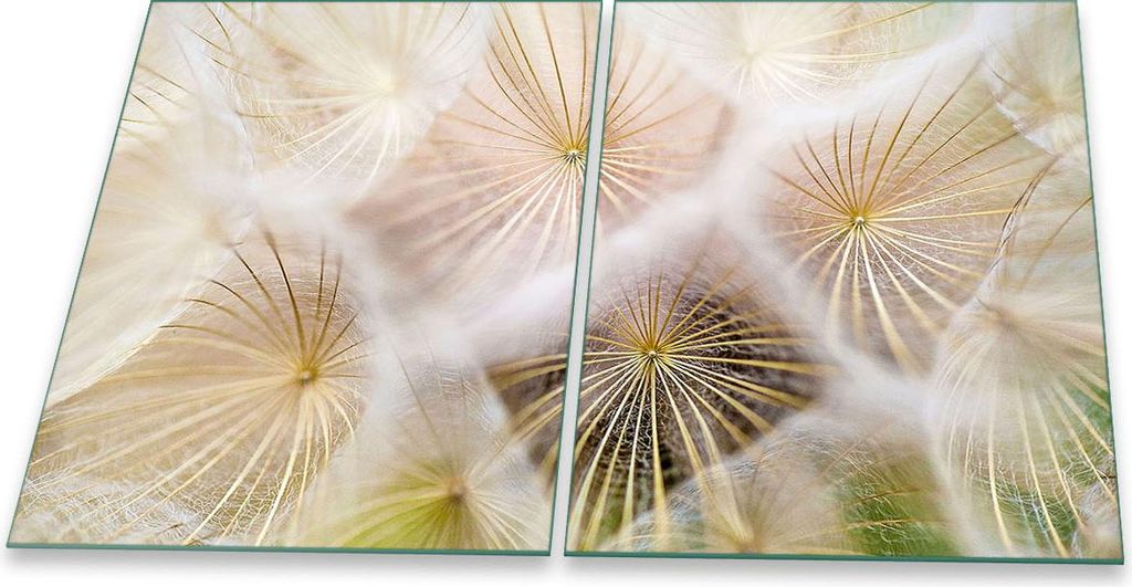 Herdabdeckplatte Glaskeramik 2-Teilig 2x40x52 Pusteblume Weiß Abdeckung Spritzschutz