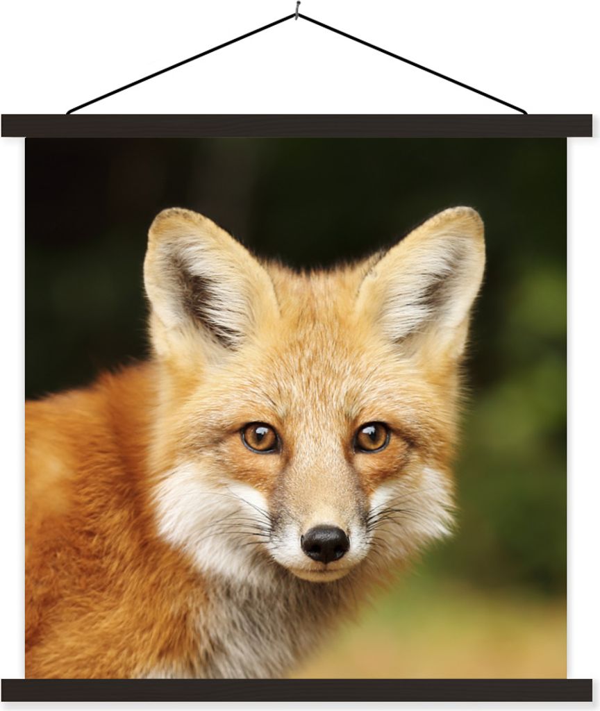MuchoWow Textilposter Fuchs - Welpe - Porträt 60x60 cm mit schwarzem Rahmen - Posteraufhänger