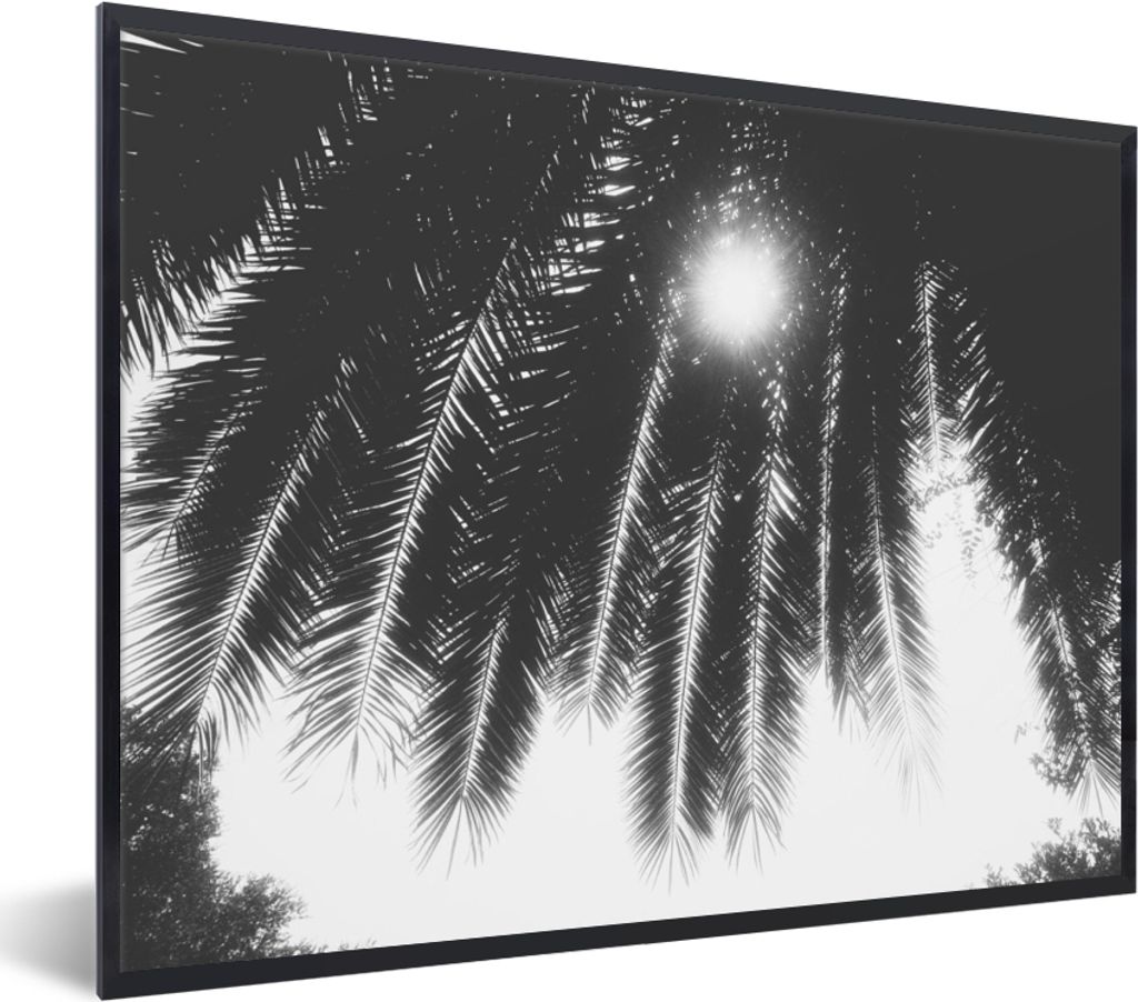 MuchoWow Gerahmtes Poster Palmenblätter - Tropisch - Sonne - Palme 80x60 cm - Poster mit Schwarzem Bilderrahmen Wandposter Rahmen Foto Bilder - ...