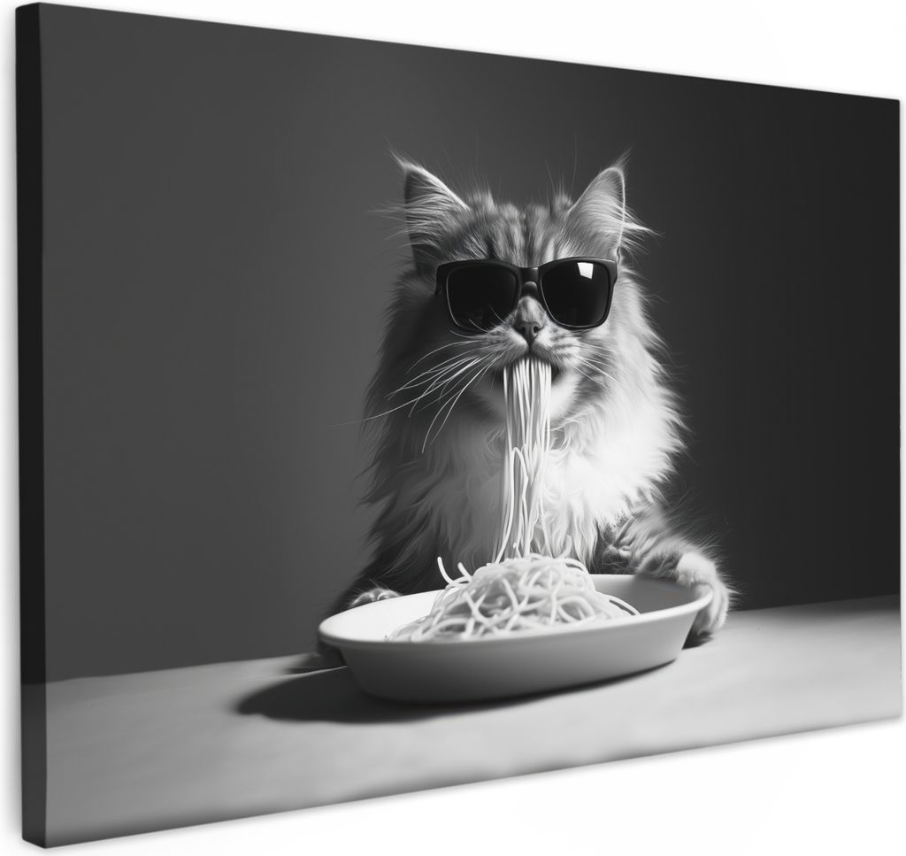 Leinwand Bilder 60x40 cm - Tiere, Komisch - Langhaar - Katze, Wandbilder, Wanddeko Wohnzimmer, Bild