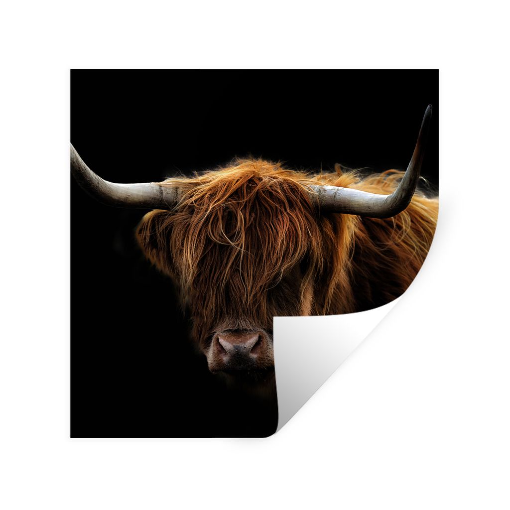 MuchoWow Wandtattoo Wandsticker Wandaufkleber Schottischer Highlander - Hörner - Schwarz - Tiere - Natur - Wild - Kuh 50x50 cm Selbstklebend und...