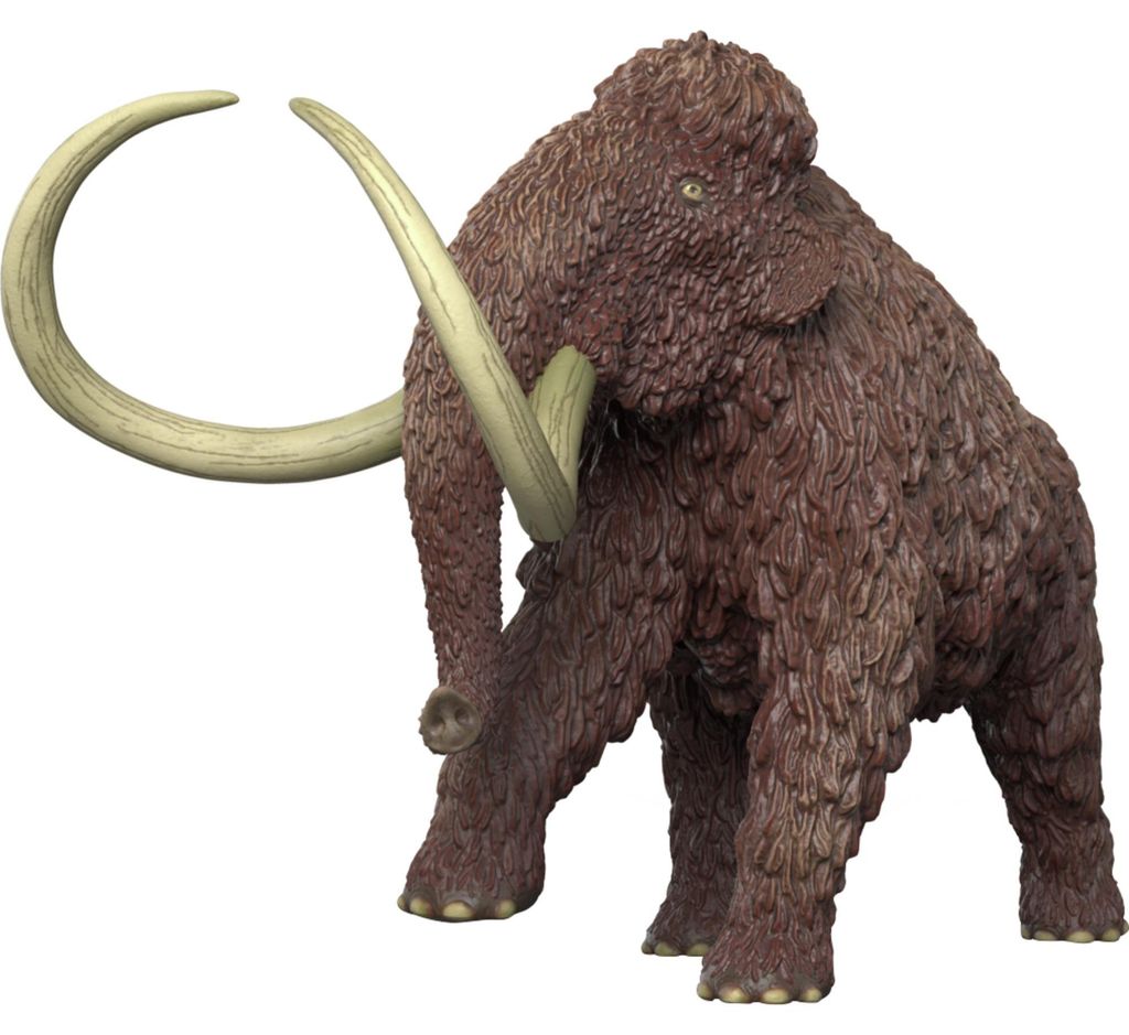Mammut Immagine del prodotto 