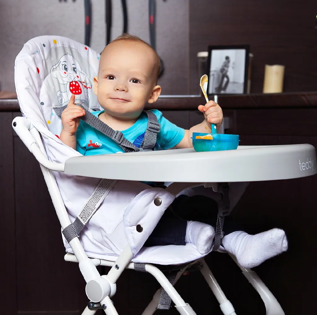 Chaise Haute Bébé Facile à Nettoyer CHIPOLINO Teddy Blush Gain Place