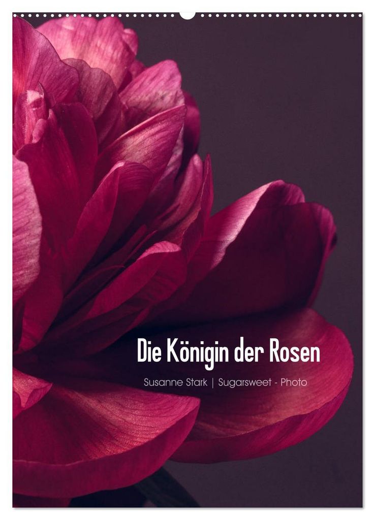 Die Königin der Rosen (Wandkalender 2027 DIN A2 hoch), CALVENDO Monatskalender