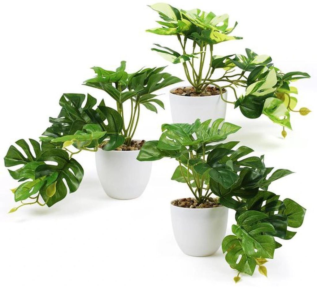 Unyqoos Kunstpflanzen Set von 3 Monstera für Innen- und Außendekoration, 20 cm hoch in weißen Töpfen