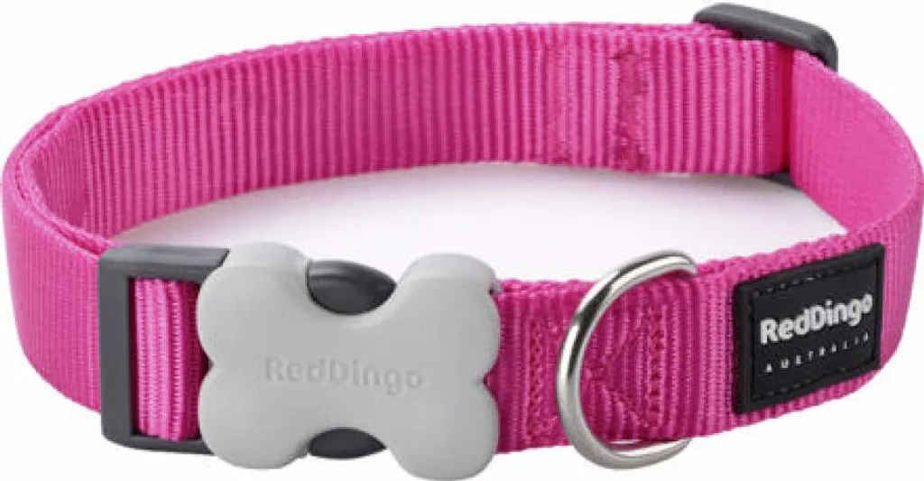 Collare per cani Red Dingo rosa tenue (2,5 x 41-63 cm)