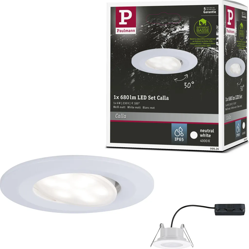 Faretto Paulmann Calla LED 6W Orientabile IP65: Scheda Tecnica e Prezzo