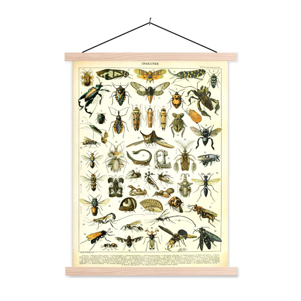 MuchoWow Textilposter Insekten - Tiere - Jahrgang 40x53 cm mit holzfarbenen Rahmen - Schlafzimmer