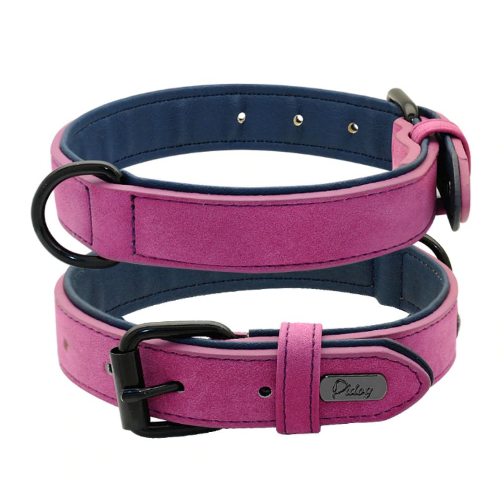 Basic Leder Hundehalsband, lila, Größe XXL 53-62cm