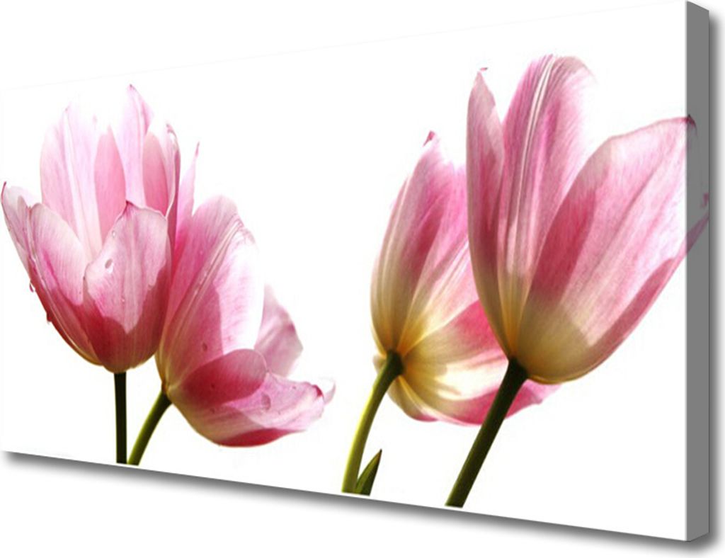 Tulup Leinwand-Bilder 100x50 Wandbild Canvas Kunstdruck Blumen Pflanzen